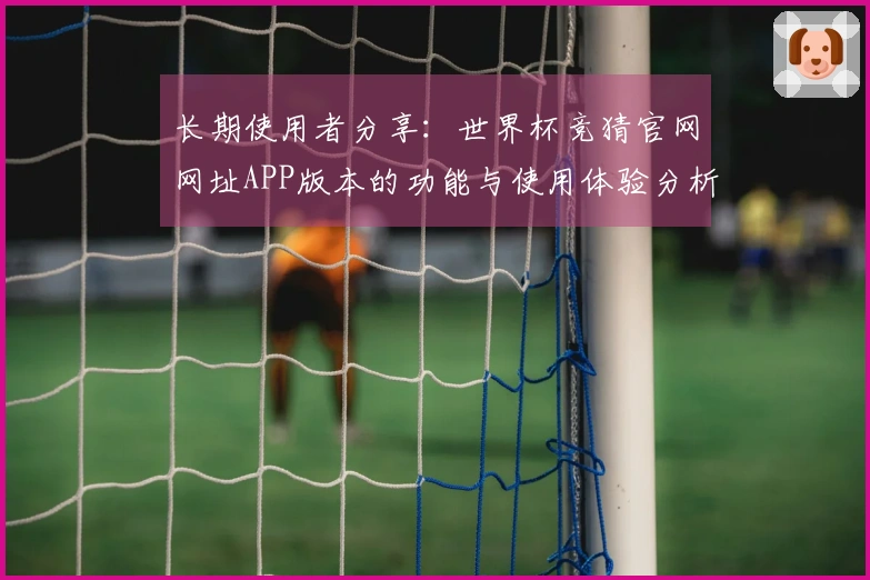 长期使用者分享：世界杯竞猜官网网址APP版本的功能与使用体验分析