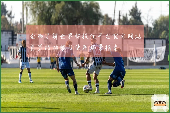 全面了解世界杯投注平台官方网站首页的功能与使用场景指南