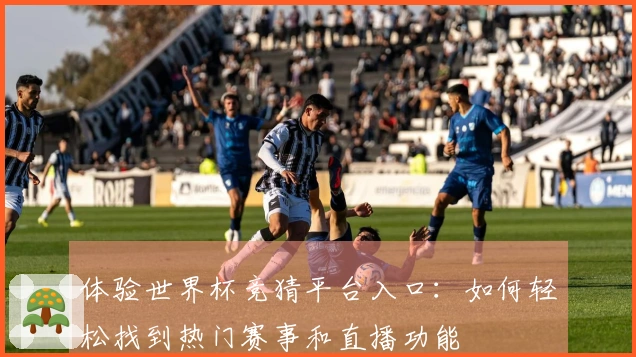 体验世界杯竞猜平台入口：如何轻松找到热门赛事和直播功能