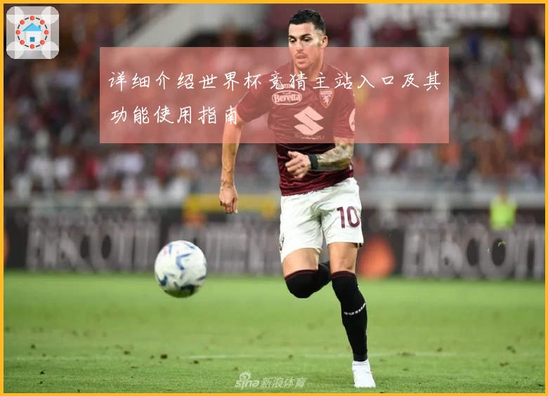 详细介绍世界杯竞猜主站入口及其功能使用指南