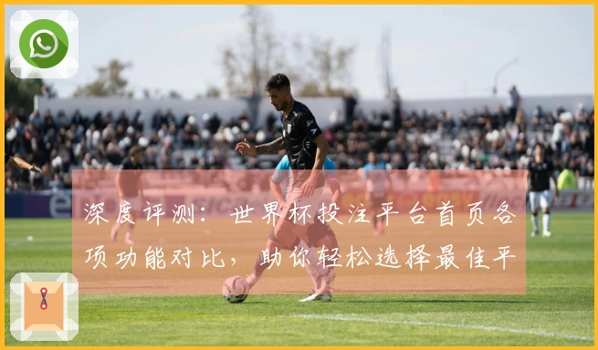 深度评测：世界杯投注平台首页各项功能对比，助你轻松选择最佳平台