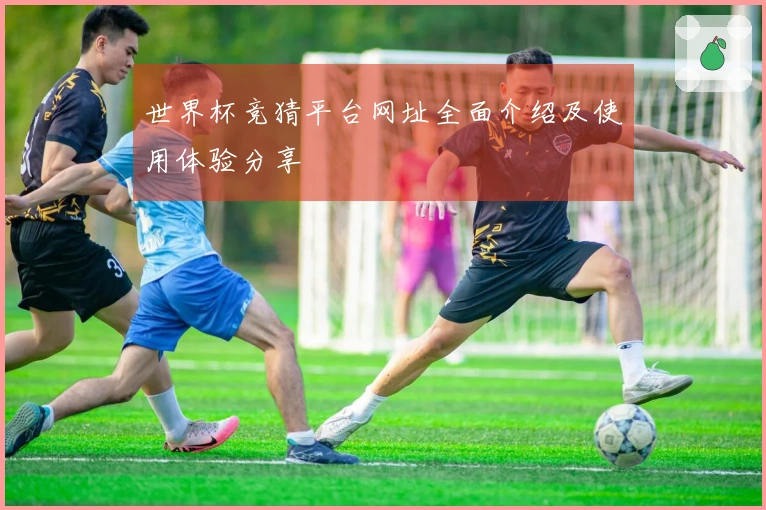 世界杯竞猜平台网址全面介绍及使用体验分享