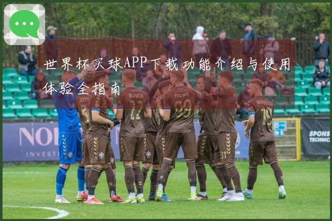 世界杯买球APP下载功能介绍与使用体验全指南