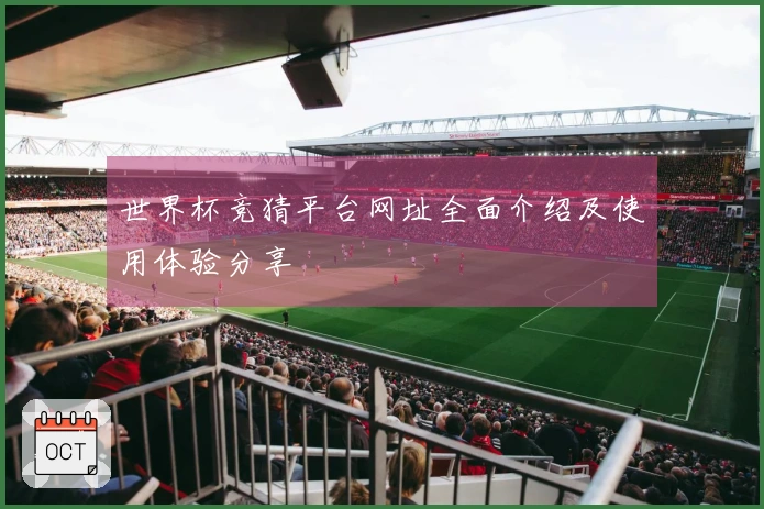 世界杯竞猜平台网址全面介绍及使用体验分享