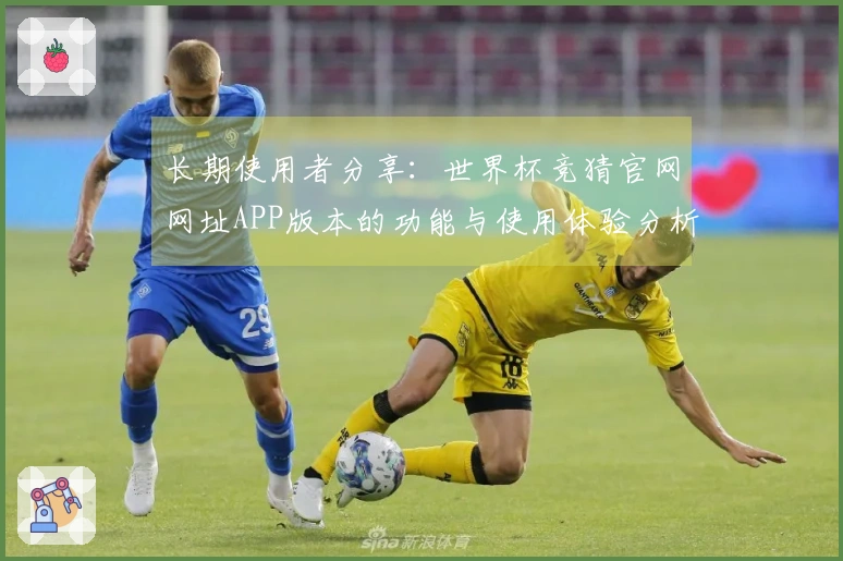 长期使用者分享：世界杯竞猜官网网址APP版本的功能与使用体验分析