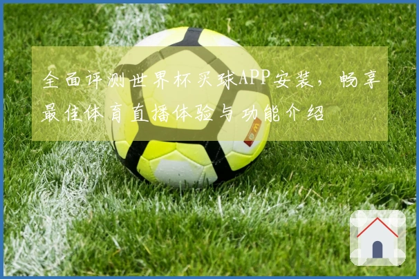 全面评测世界杯买球APP安装,畅享最佳体育直播体验与功能介绍