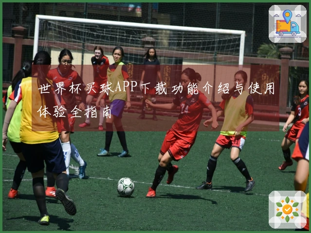 世界杯买球APP下载功能介绍与使用体验全指南