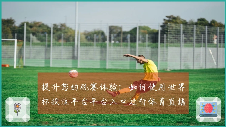 提升您的观赛体验：如何使用世界杯投注平台平台入口进行体育直播操作指南